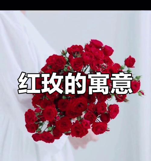烧玫瑰花的寓意和象征是什么？