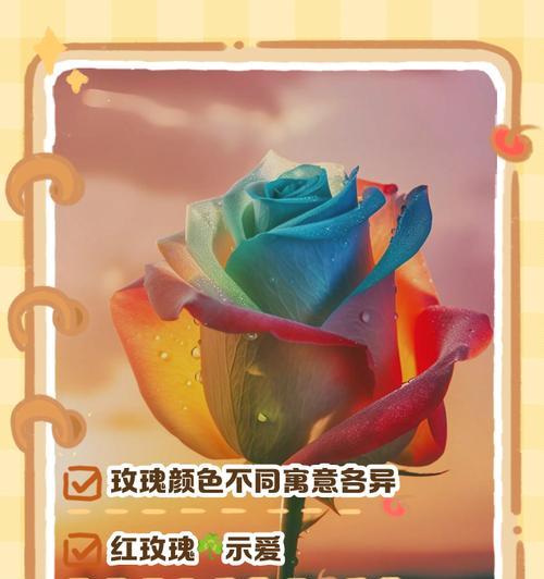 烧玫瑰花的寓意和象征是什么？