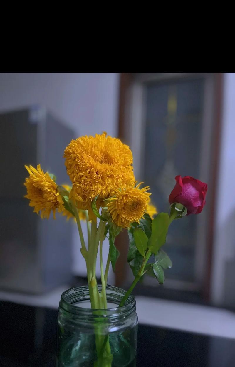 爱与喜欢的花语是什么意思？花语如何表达爱慕之情？
