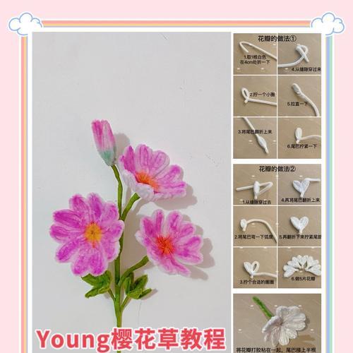 樱花的花语有何特别含义？