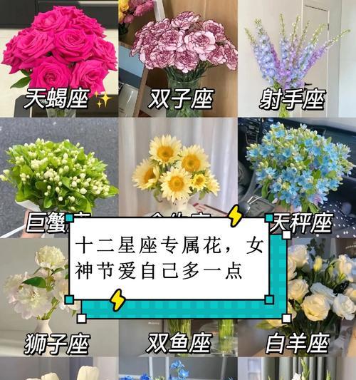 话语与快乐的花语有何联系？它们代表了什么？