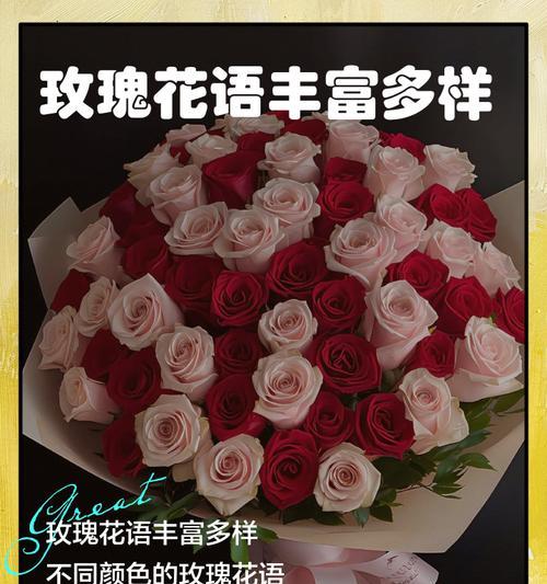 玫瑰下的花语有何寓意？