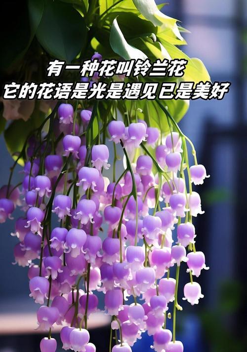 无花草的花语是什么呢？空花瓶的象征意义是什么？