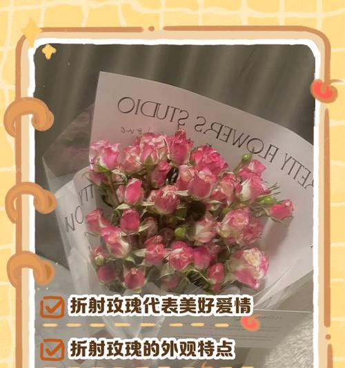 尖角玫瑰有何特别寓意？它的花语表达了什么？
