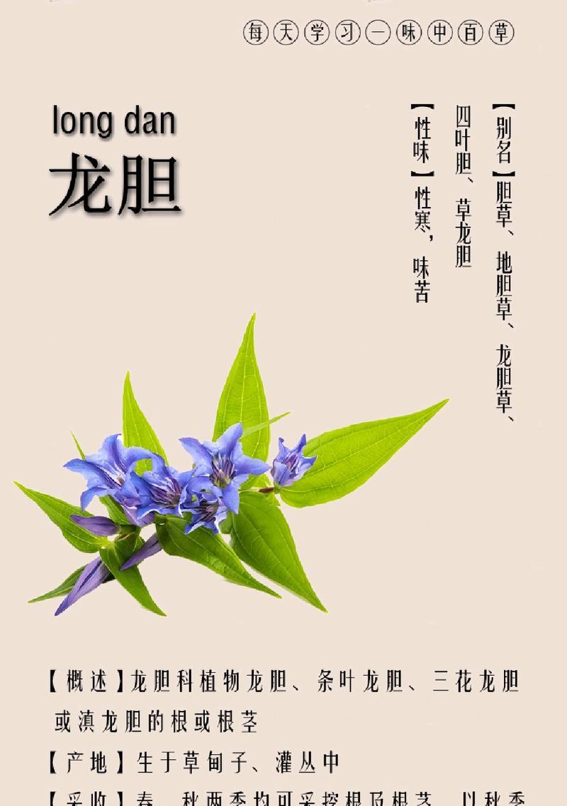 灰谷龙胆花的象征意义是什么？