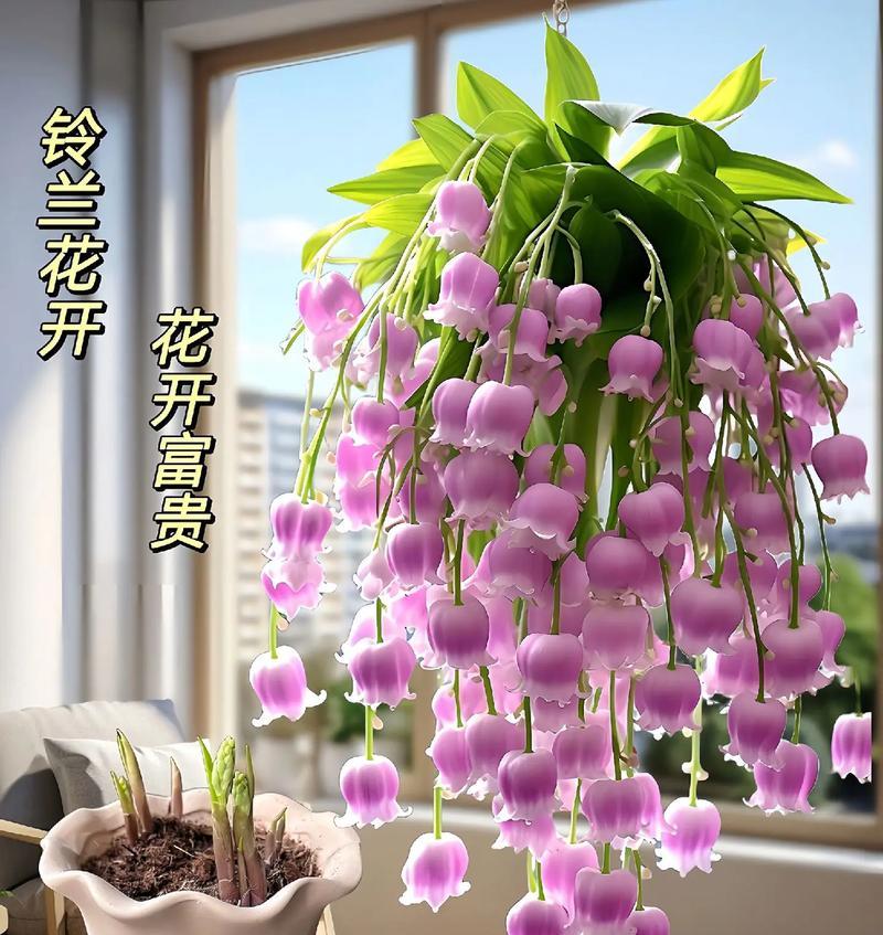 铃兰花在家居中代表什么？它有何花语寓意？