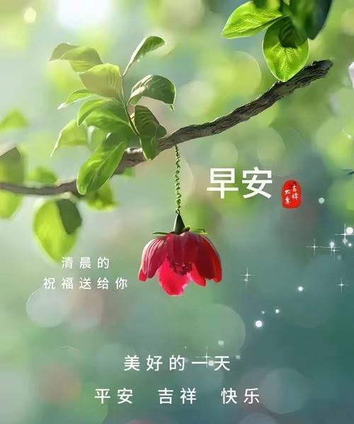 终见晴的花语是什么？它代表了什么含义？