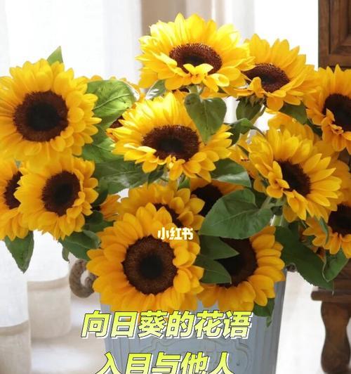 哪种花的花语意味着忘记？它传递了怎样的信息？