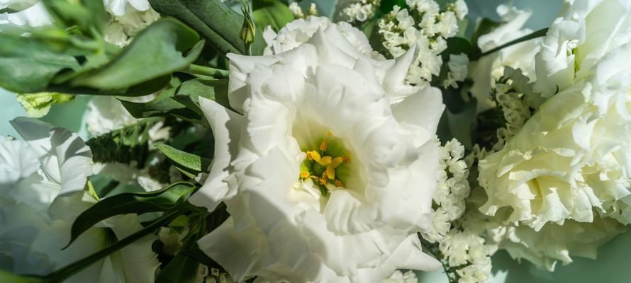 花语唯一爱人代表什么花？这种花的含义是什么？