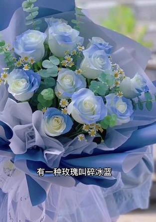 蓝色太阳花的花语有何含义？