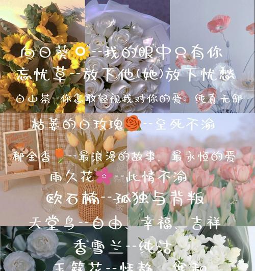 花语背后的含义究竟是什么？