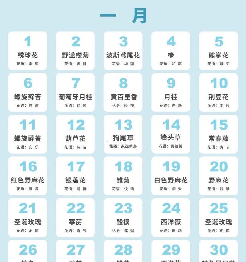 花语背后的含义究竟是什么？