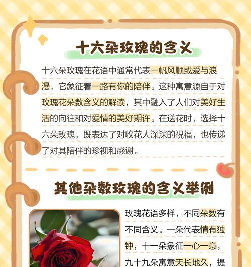 花语背后的含义究竟是什么？