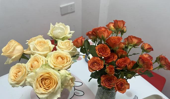 橘子玫瑰的花语有哪些？橘子玫瑰代表了什么样的情感？