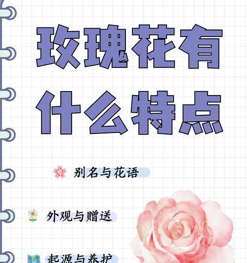 爱情的守护花语是什么？哪种花象征着爱情的守护？