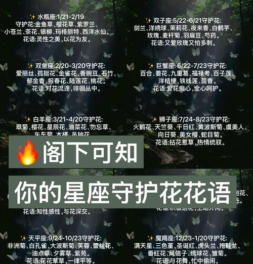 爱情的守护花语是什么？哪种花象征着爱情的守护？
