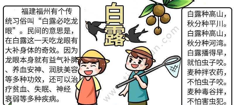 白露时节的花语有何特殊含义？它代表了什么？