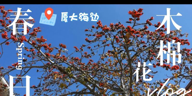 木棉花在立夏时的花语是什么？它象征着什么？