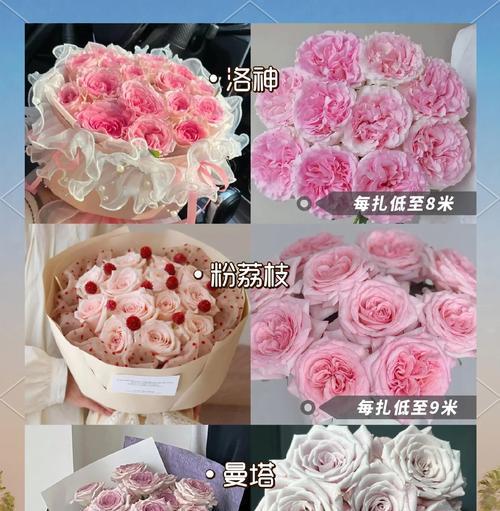 枫叶玫瑰花语有何深层含义？