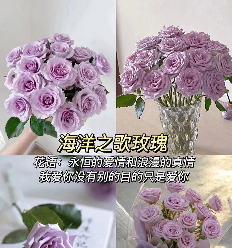七夕节送媳妇什么花语最合适？它代表了什么？