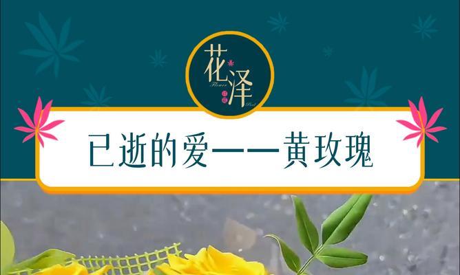给前任送黄色玫瑰花意味着什么？它代表了哪种情感？