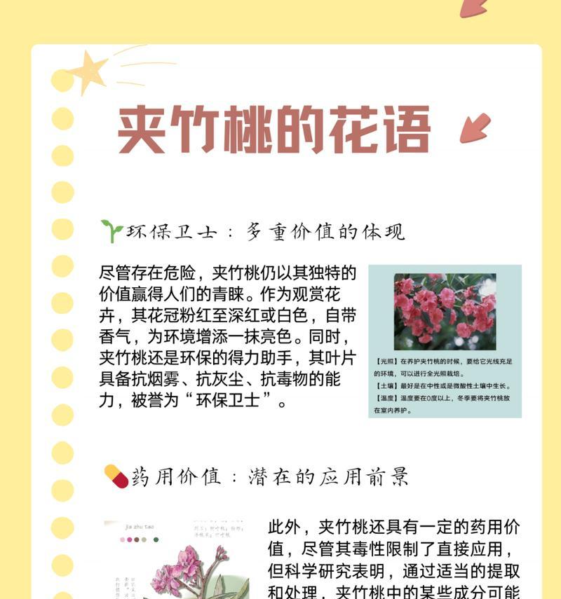 花语与混混相关的成语有哪些？它们的含义是什么？