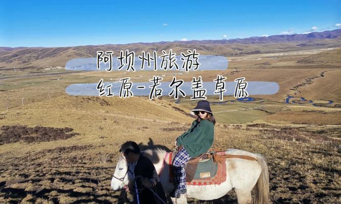 红原草原的花语是什么呢？红原草原的花代表了什么？