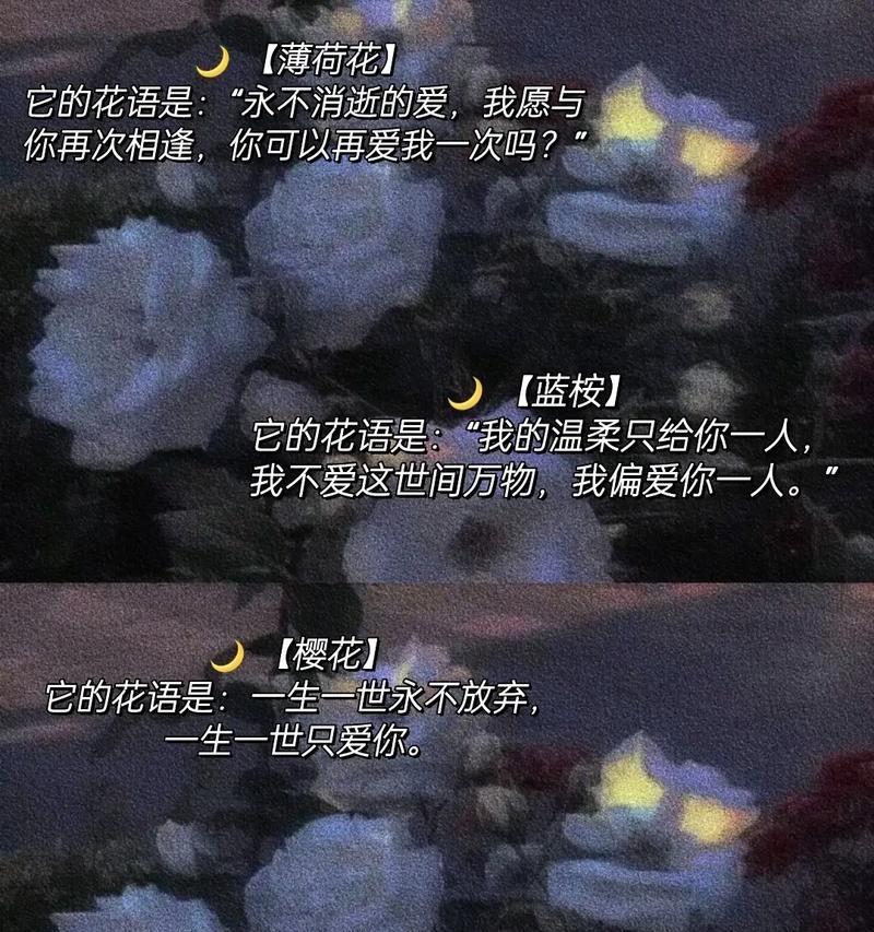 哪种花代表自由酷帅？其花语是什么？
