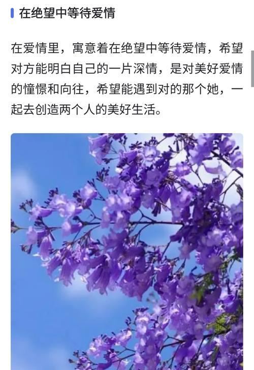 哪种花代表“等你的爱”？花语中表达等待爱情的花是什么？