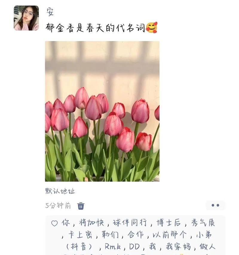 郁金香花语通常表达什么？