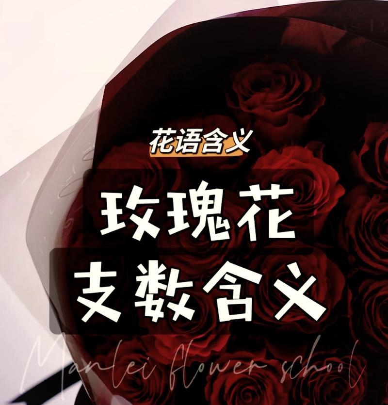 19朵玫瑰代表了什么花语？