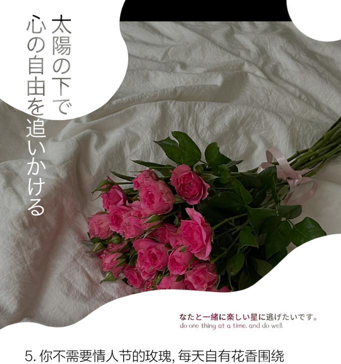 情人节独自绽放的花语有何寓意？