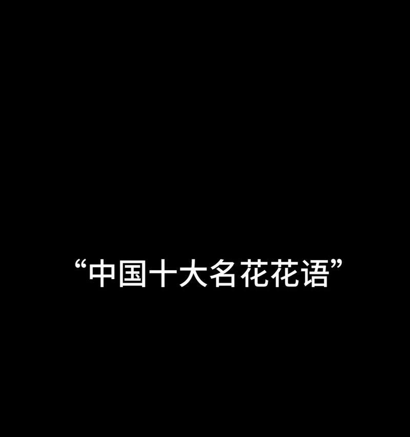喜欢比较的花语代表什么含义？