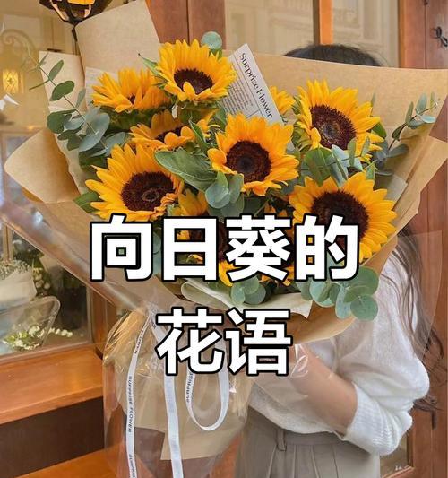 三十种花语各自代表什么含义？