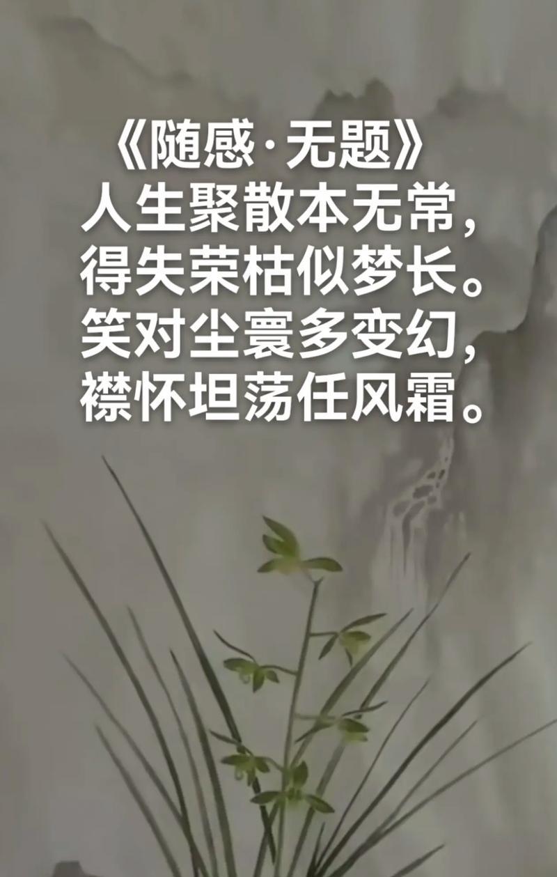 兰花的花语用什么语言表达？