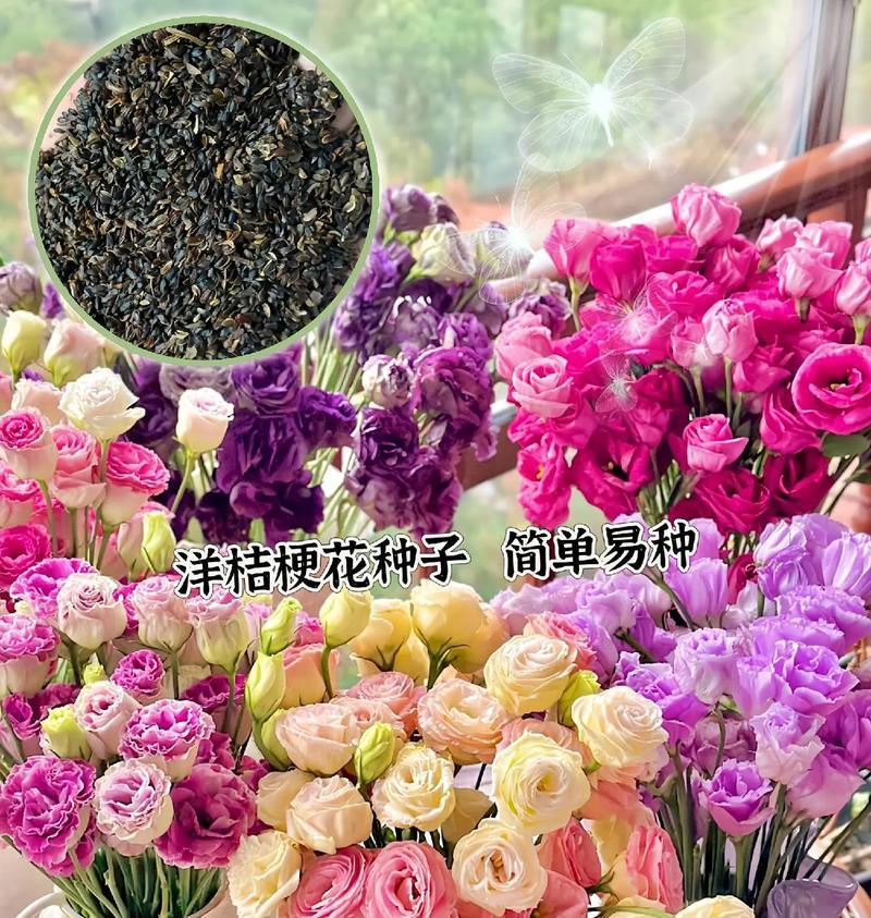 粉色洋桔梗的花语有何特别之处？
