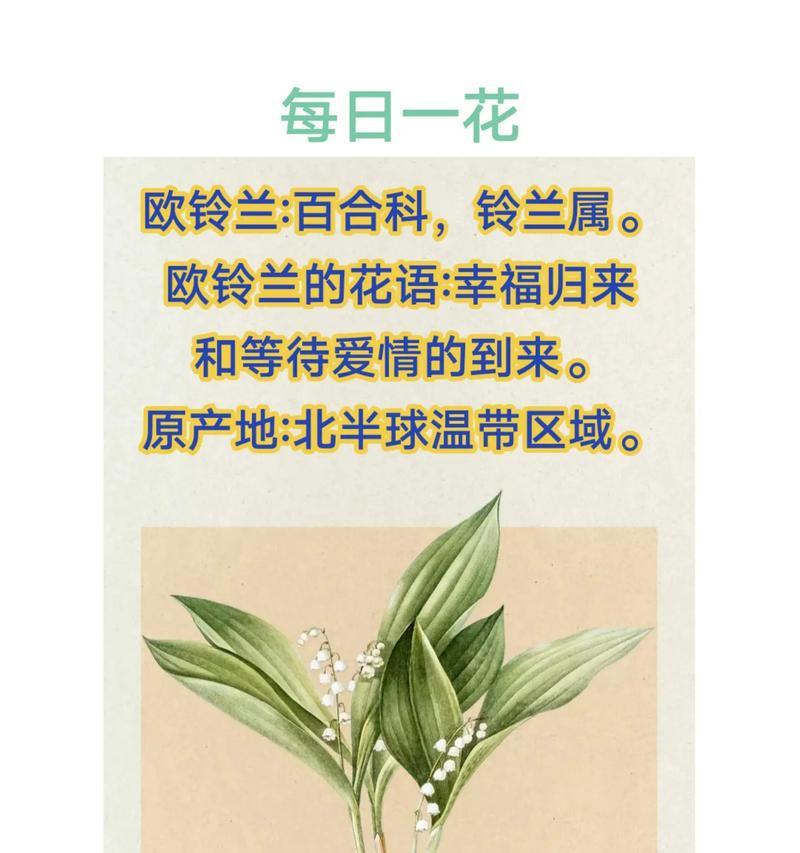 代表等待的花语有哪些？各自含义是什么？