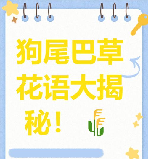 代表等待的花语有哪些？各自含义是什么？