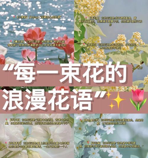 代表等待的花语有哪些？各自含义是什么？