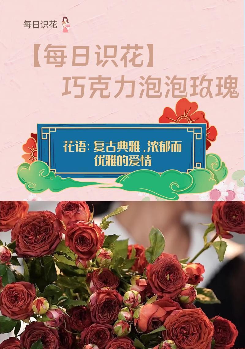 巧克力花语代表了什么？如何用巧克力花语表达爱？