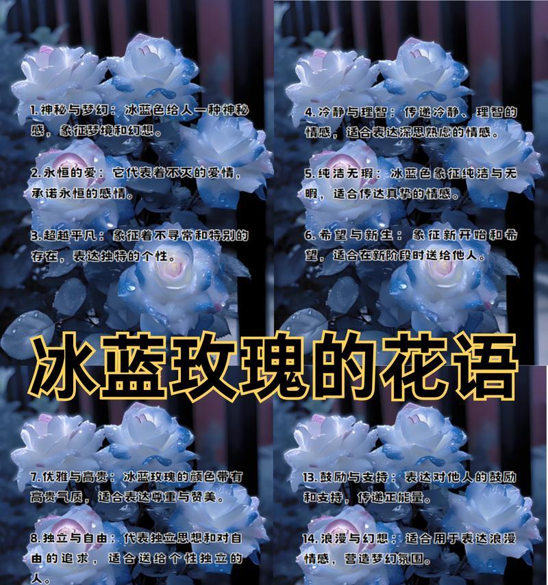 爱你的人拍的花语代表什么？