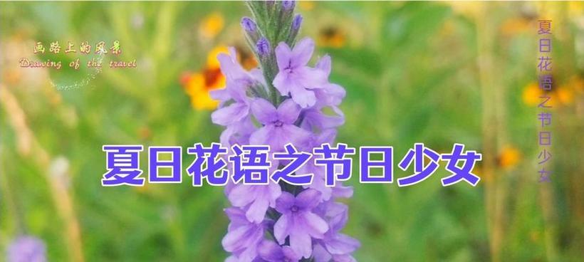 西瓜作为礼物的花语是什么？它传递了什么信息？