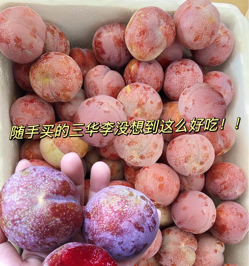 空心李子的花语和寓意有何特别之处？