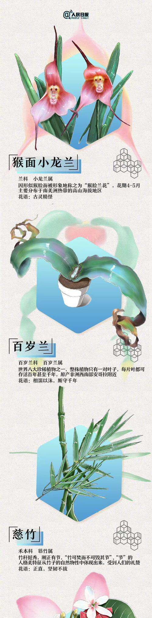 浪漫花语有哪些说法？