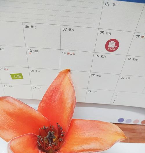 手写木棉花的花语是什么？这种花语有何特殊意义？