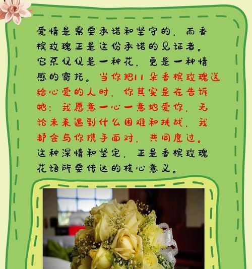 送几朵玫瑰花有何含义？它的花语是什么？