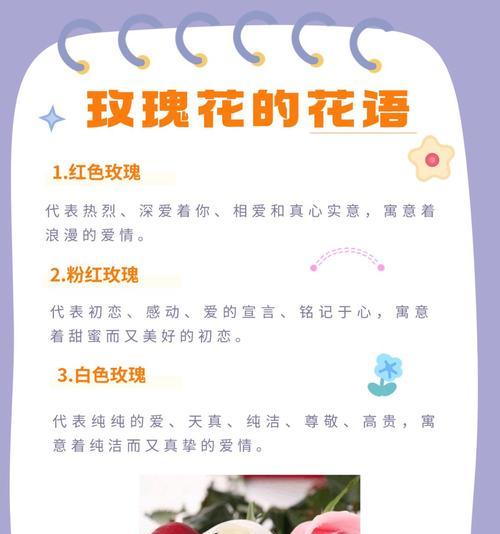 哪种花的花语代表母亲？它的象征意义是什么？