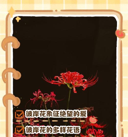 哪种花的花语代表爱情的到来？