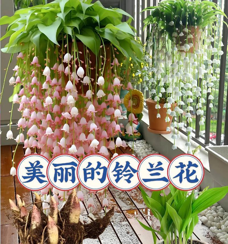 哪种花的花语代表爱情的到来？