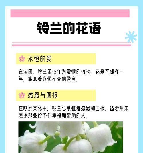 丹麦铃兰的花语是什么？它象征着什么？